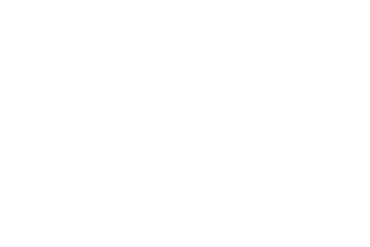 The Lady Barber